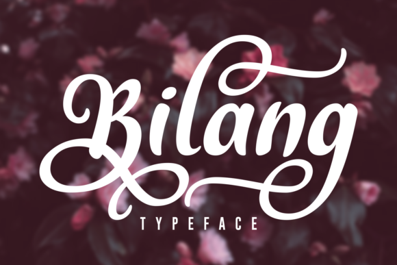Bilang: A Bold Script Font for Modern Web Design
