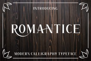 Romantice: A Modern Script Font for Handmade Brands