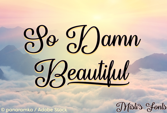 So Damn Beautiful Typeface Review