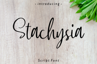 Stachysia: A Handwritten Typeface for Authentic Branding