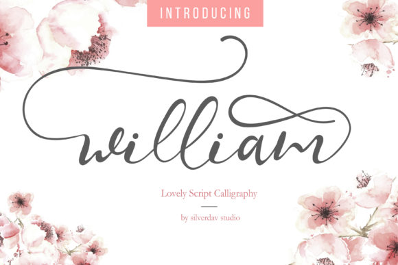 William Font: Elevate Web Design with Modern Script